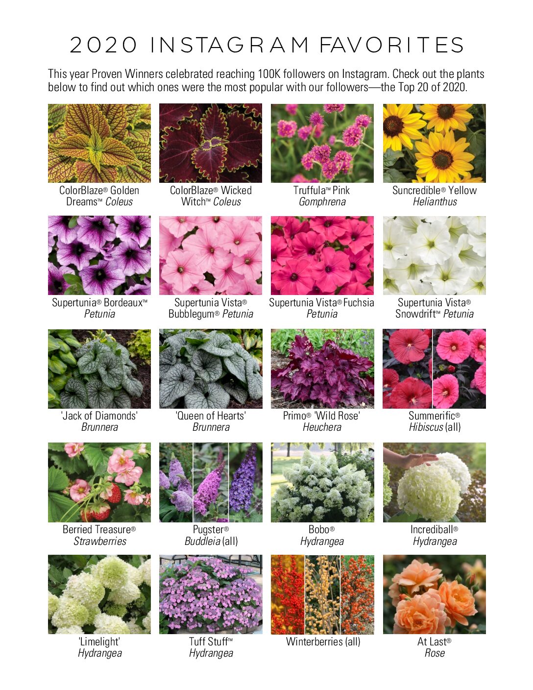 Nordic News Nordic Nurseries Abbotsford, BC.